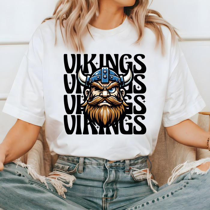 Cartoon Vikings Echo