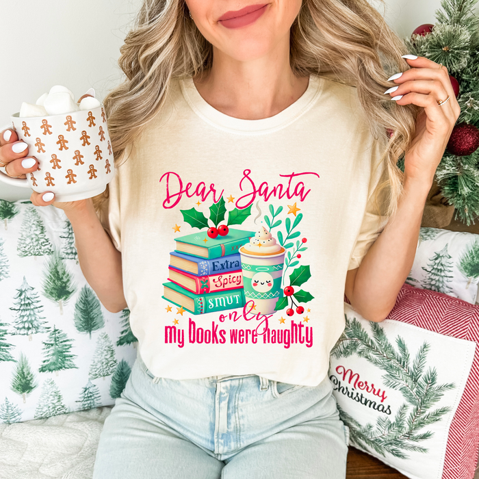 Dear Santa Only My Books Were Dirty